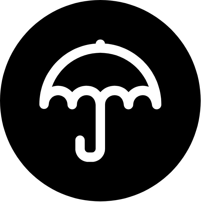 WP Umbrella