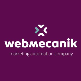 Webmecanik Automation