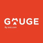 Gauge