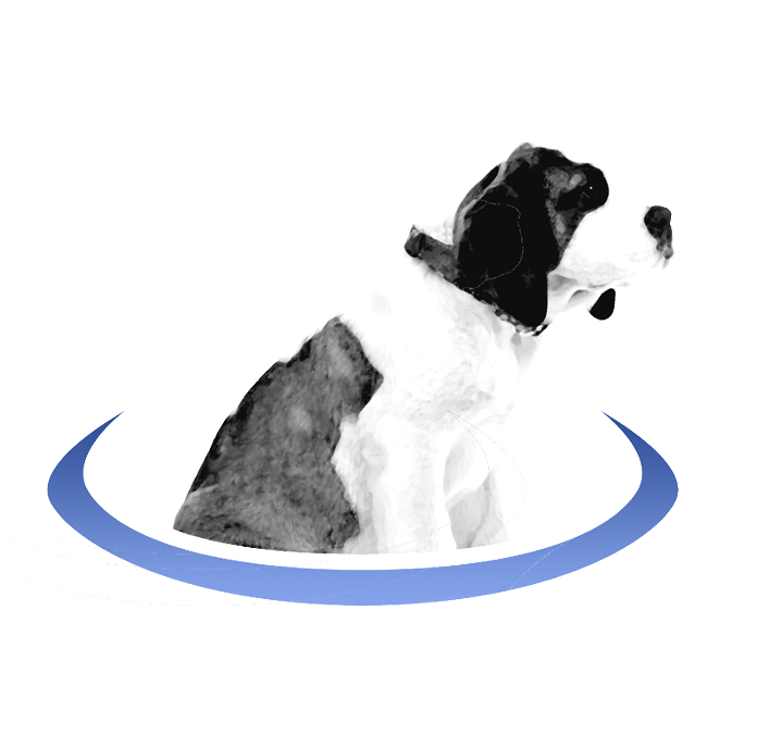 BerniePortal