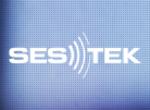 Voice of the Customer