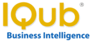 IQub Business Intelligence Reporting Solutions