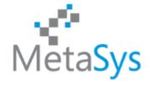 MetaBiz