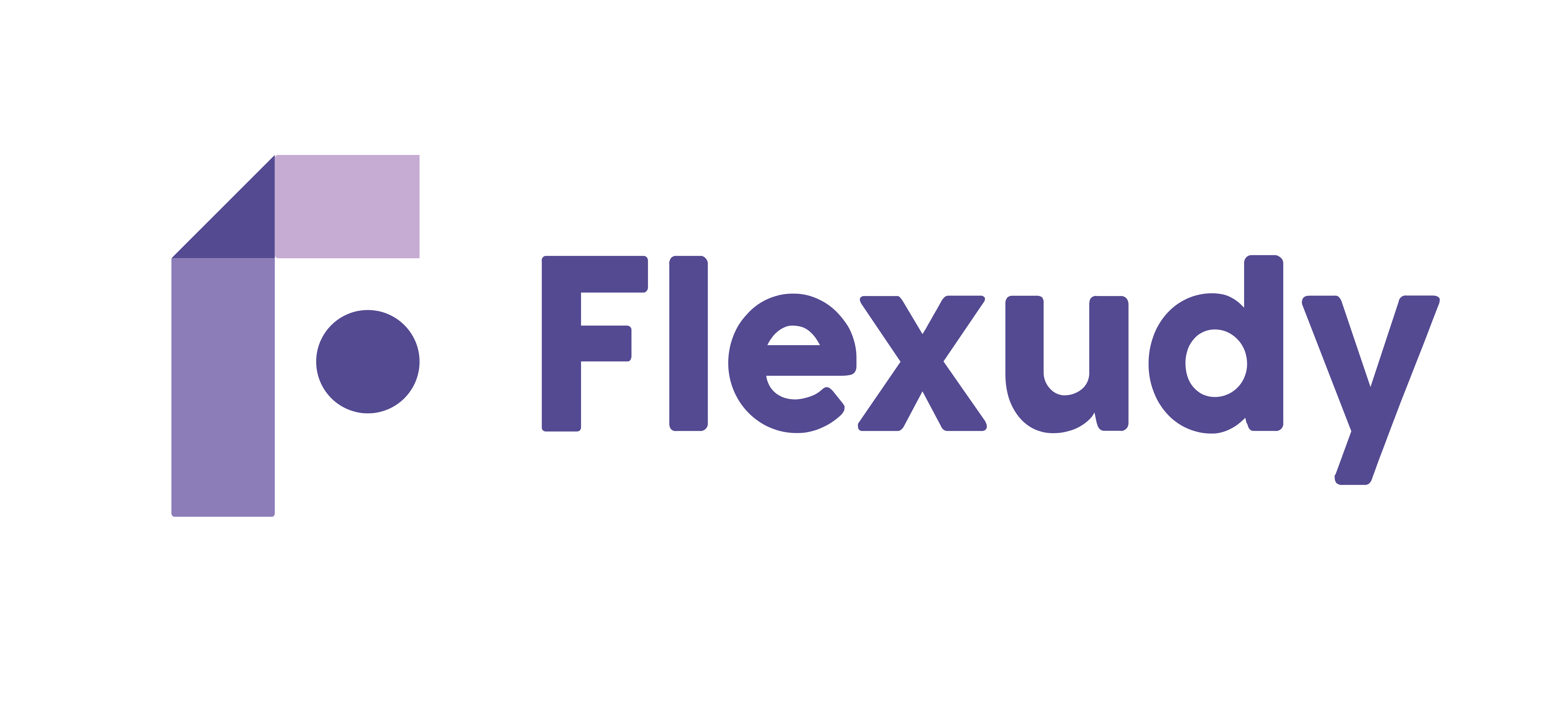 Flexudy