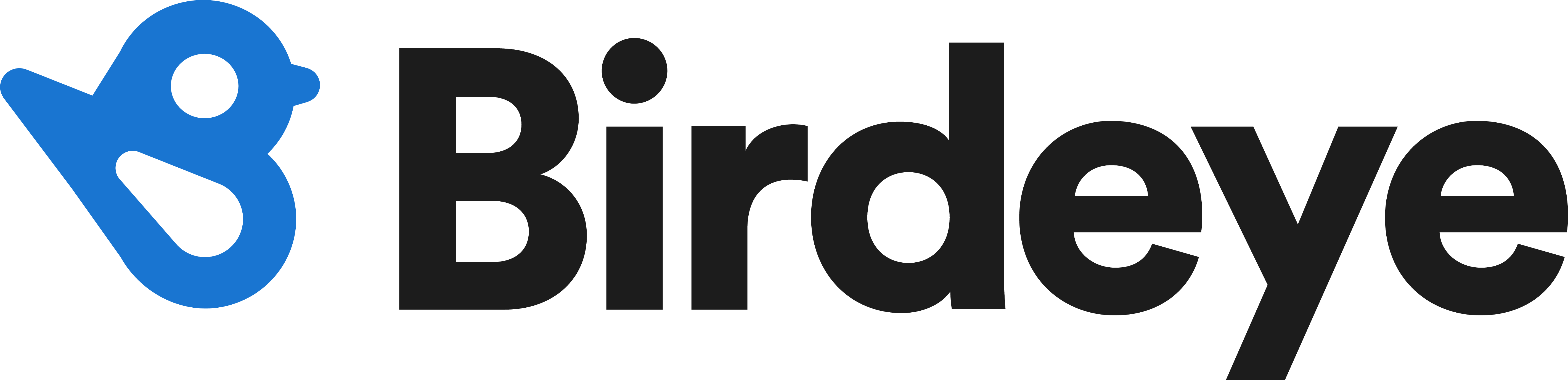 Birdeye