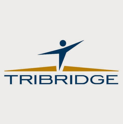 Tribridge Offender360