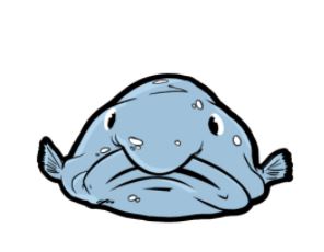 BlobFish Activity Hub