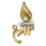Mehmaan Nawazi