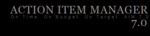 Action Item Manager