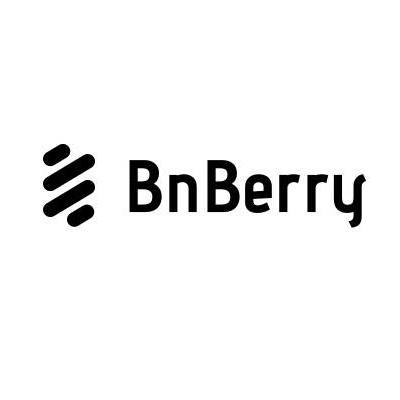 BnBerry