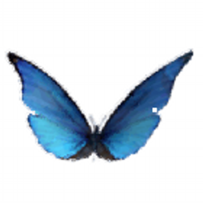 Cogia