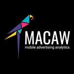 Macaw