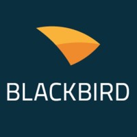 Blackbird