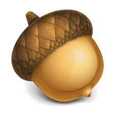 Acorn