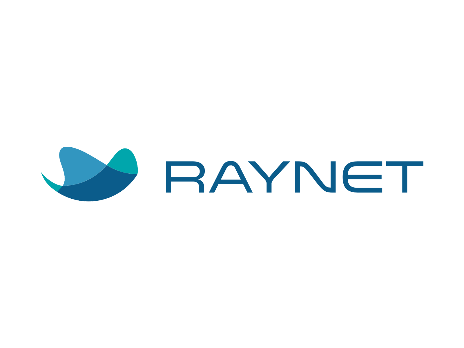 RAYNET CRM