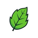 Vipatra