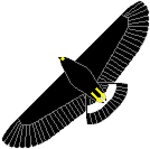 KBX On Line