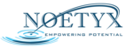 Visual Sales Manager
