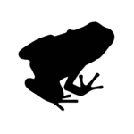 TRDATA
