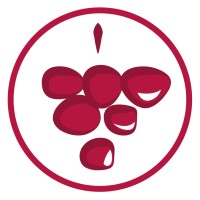 Vinitor