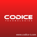 CODICE Public Transportation