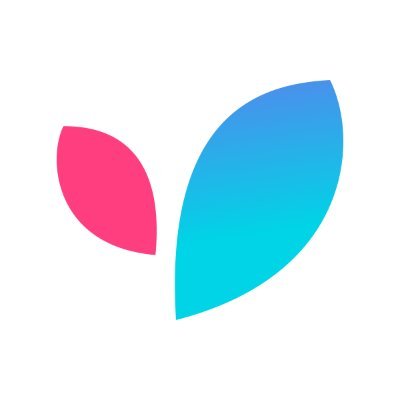 Leadguru