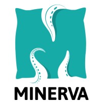 Minerva Remote User Protection