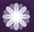 SocialFlow