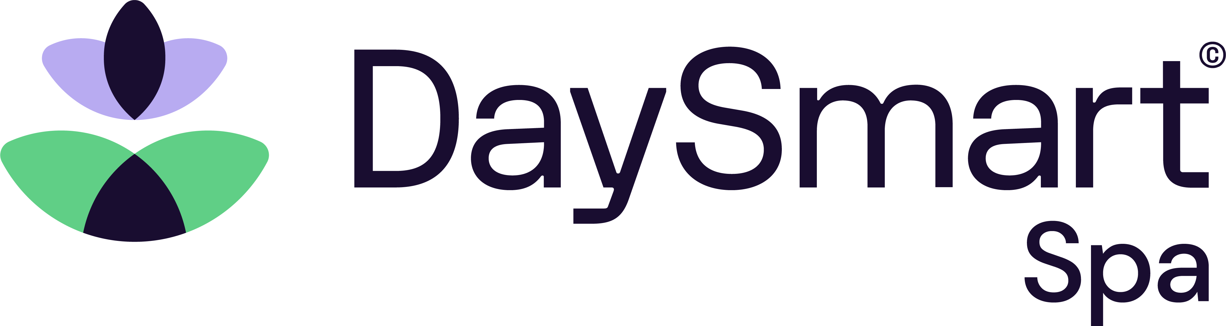 DaySmart Spa