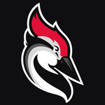 Woodpecker.co