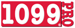 1099 Pro