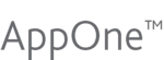 FlexOne
