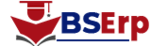 BSErp